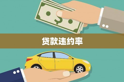 东乡贷款违约率