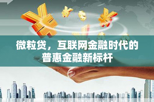 东乡微粒贷，互联网金融时代的普惠金融新标杆
