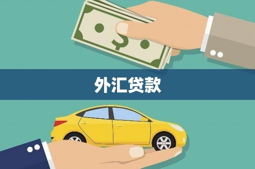 东乡外汇贷款