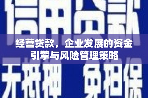 东乡经营贷款，企业发展的资金引擎与风险管理策略