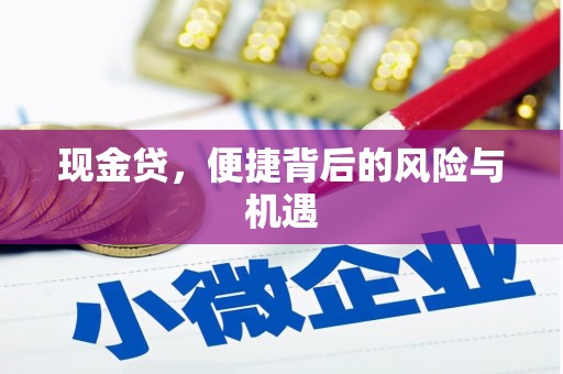 东乡现金贷，便捷背后的风险与机遇