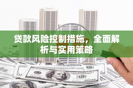 东乡贷款风险控制措施，全面解析与实用策略