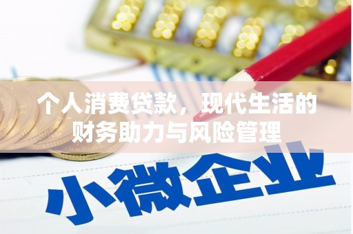 东乡个人消费贷款，现代生活的财务助力与风险管理