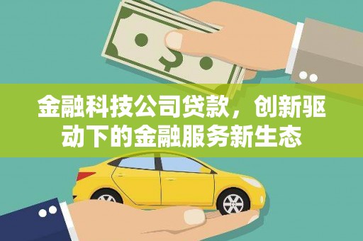 东乡金融科技公司贷款，创新驱动下的金融服务新生态