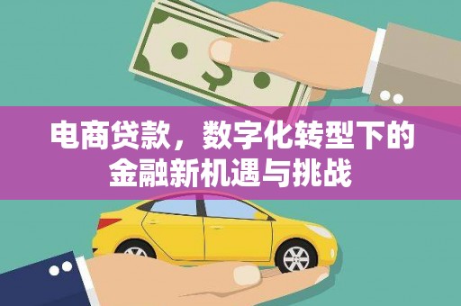 东乡电商贷款，数字化转型下的金融新机遇与挑战