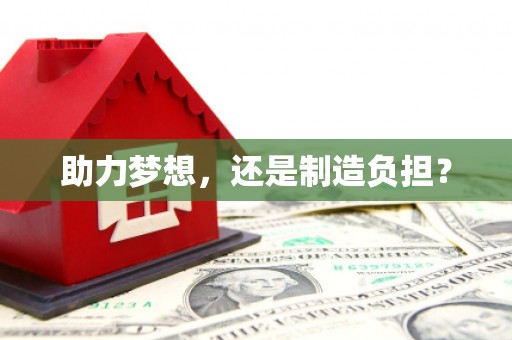 东乡助力梦想，还是制造负担？