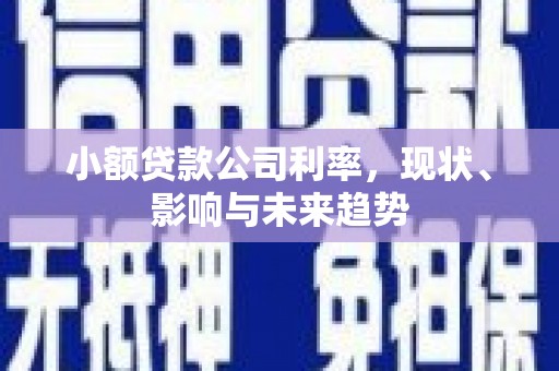 东乡小额贷款公司利率，现状、影响与未来趋势