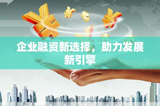 东乡企业融资新选择，助力发展新引擎