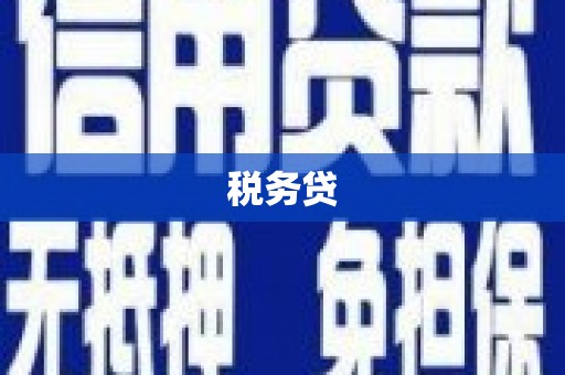 东乡税务贷