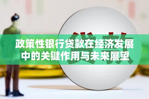 东乡政策性银行贷款在经济发展中的关键作用与未来展望