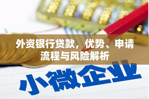 东乡外资银行贷款，优势、申请流程与风险解析