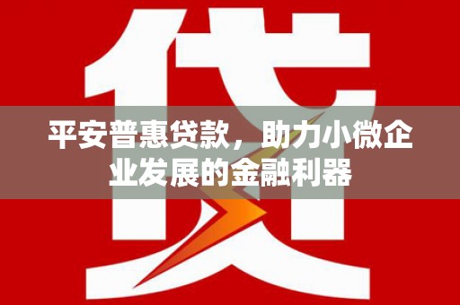 东乡平安普惠贷款，助力小微企业发展的金融利器