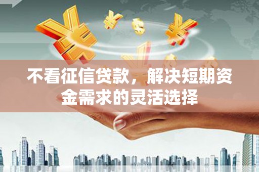 东乡不看征信贷款，解决短期资金需求的灵活选择