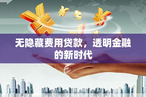东乡无隐藏费用贷款，透明金融的新时代