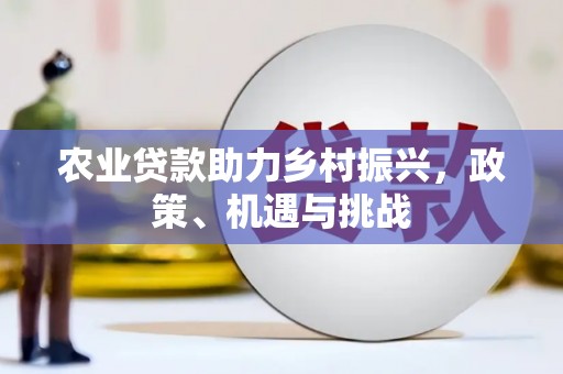 东乡农业贷款助力乡村振兴，政策、机遇与挑战