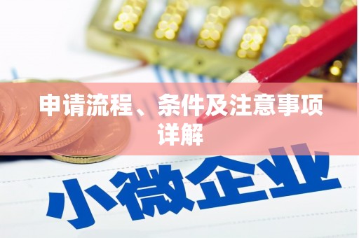 东乡申请流程、条件及注意事项详解