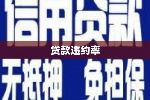 东乡贷款违约率