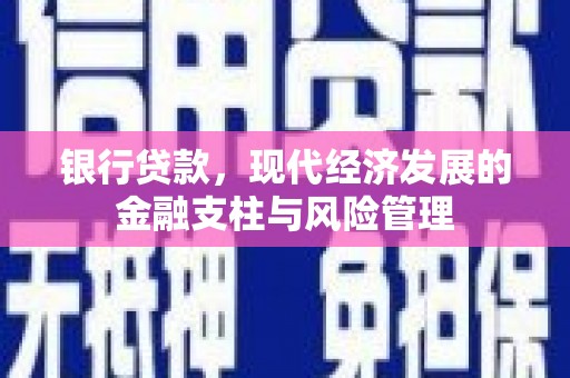 东乡银行贷款，现代经济发展的金融支柱与风险管理