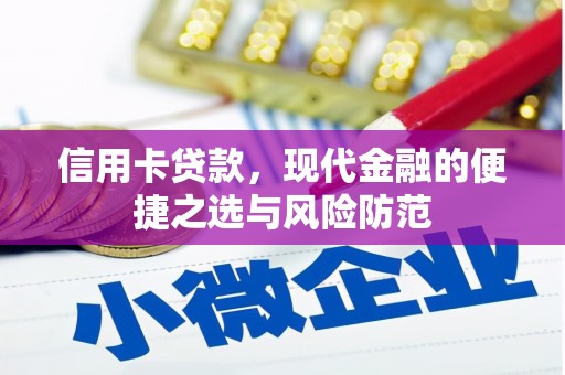 东乡信用卡贷款，现代金融的便捷之选与风险防范