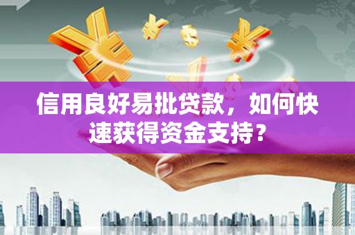东乡信用良好易批贷款，如何快速获得资金支持？