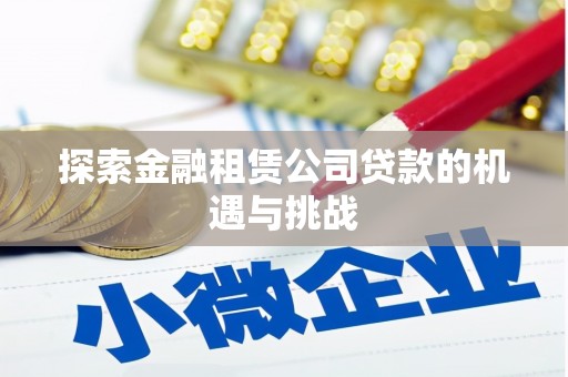 东乡探索金融租赁公司贷款的机遇与挑战