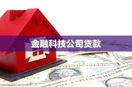 东乡金融科技公司贷款