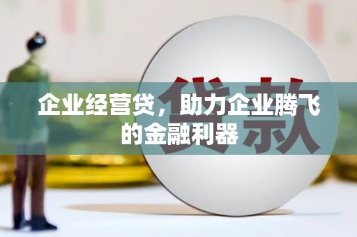 东乡企业经营贷，助力企业腾飞的金融利器