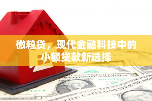 东乡微粒贷，现代金融科技中的小额贷款新选择