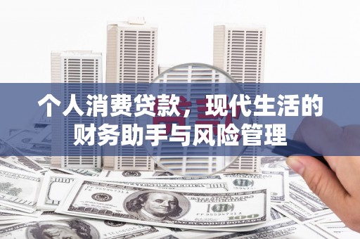 东乡个人消费贷款，现代生活的财务助手与风险管理