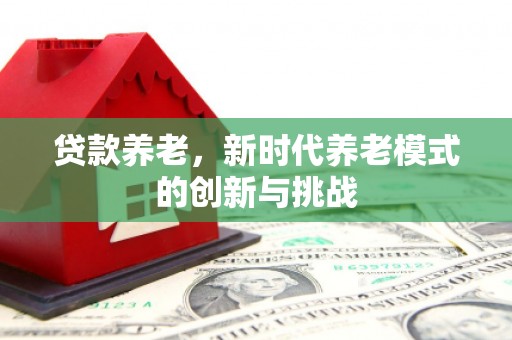 东乡贷款养老，新时代养老模式的创新与挑战