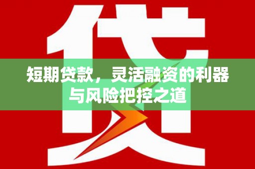 东乡短期贷款，灵活融资的利器与风险把控之道