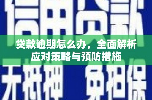东乡贷款逾期怎么办，全面解析应对策略与预防措施