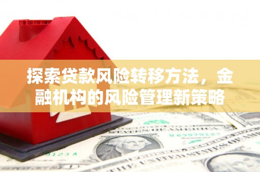 东乡探索贷款风险转移方法，金融机构的风险管理新策略