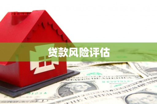 东乡贷款风险评估
