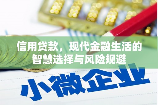 东乡信用贷款，现代金融生活的智慧选择与风险规避
