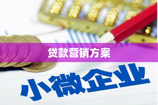 东乡贷款营销方案