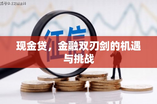 东乡现金贷，金融双刃剑的机遇与挑战