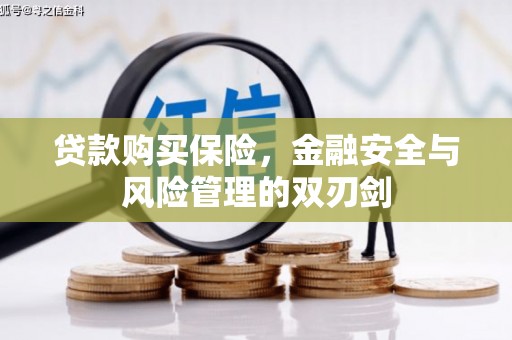 东乡贷款购买保险，金融安全与风险管理的双刃剑