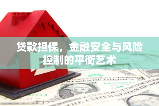 东乡贷款担保，金融安全与风险控制的平衡艺术