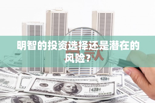 东乡明智的投资选择还是潜在的风险？