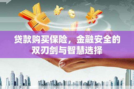 东乡贷款购买保险，金融安全的双刃剑与智慧选择