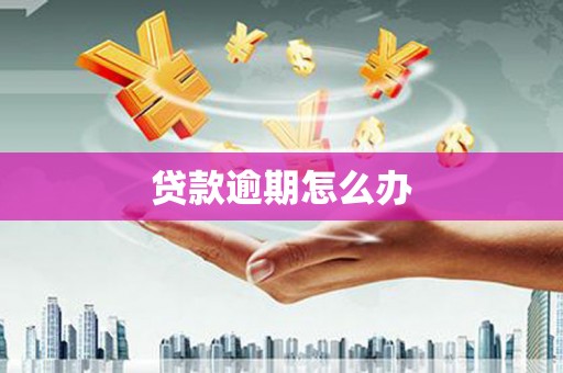 东乡贷款逾期怎么办