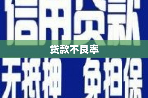 东乡贷款不良率