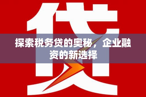 东乡探索税务贷的奥秘，企业融资的新选择