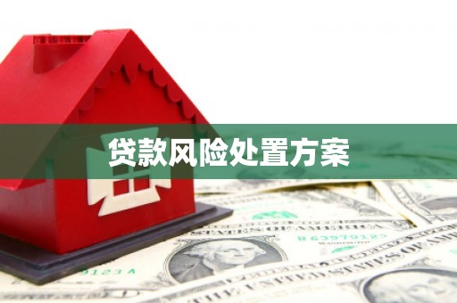 东乡贷款风险处置方案