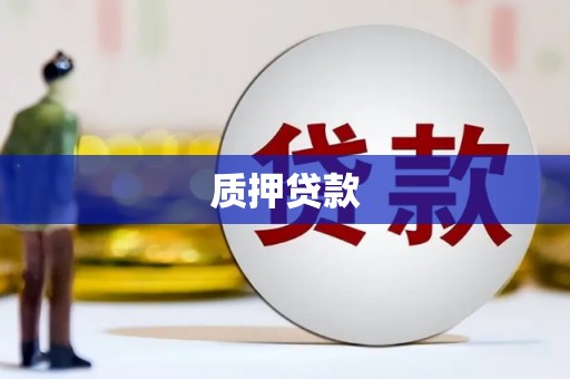 东乡质押贷款