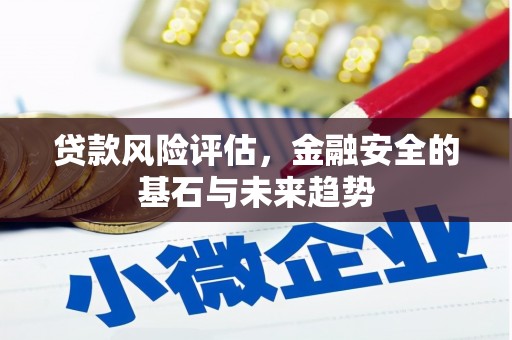 东乡贷款风险评估，金融安全的基石与未来趋势