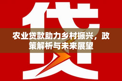东乡农业贷款助力乡村振兴，政策解析与未来展望