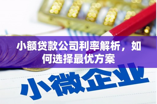 东乡小额贷款公司利率解析，如何选择最优方案