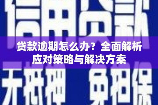 东乡贷款逾期怎么办？全面解析应对策略与解决方案